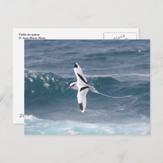 Carte Postale File d'attente Paille-en (Devant / Derrière)