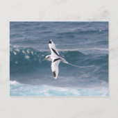 Carte Postale File d'attente Paille-en (Devant)