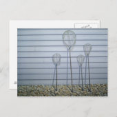 Carte Postale Filets d'épuration (Devant / Derrière)