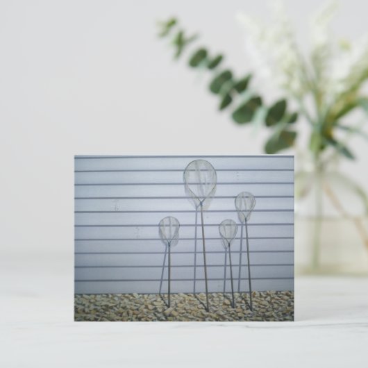 Carte Postale Filets d'épuration (Debout devant)