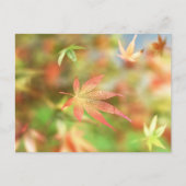 Carte postale Filigree Automne (Devant)