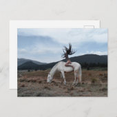 Carte Postale Fille à cheval (Devant / Derrière)