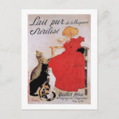 Carte Postale Fille avec chats, Alexandre Steinlen (Devant)