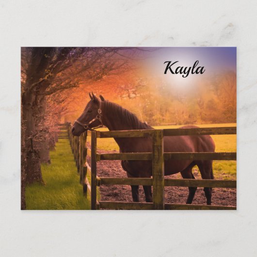 Carte Postale Fille du cheval (Devant)