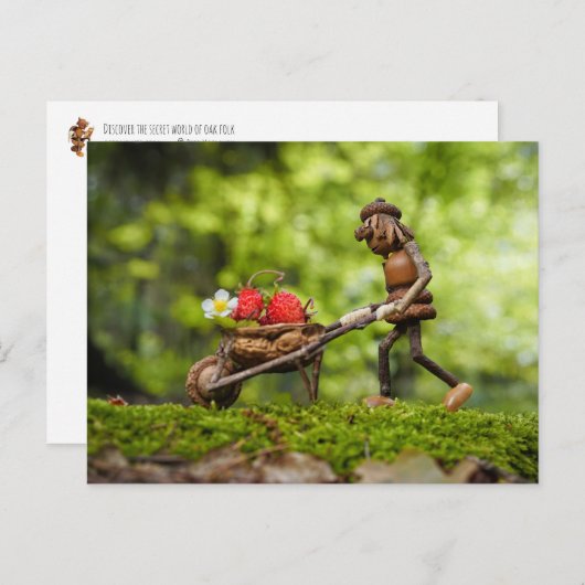 Carte Postale Fille elf d'Acorn portant des fraises (Devant / Derrière)