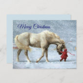 Carte postale Fille et Cheval Noël (Devant / Derrière)