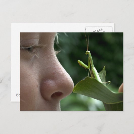 Carte Postale Fille et Mantis religiosa (Devant / Derrière)
