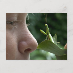 Carte Postale Fille et Mantis religiosa