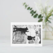 Carte Postale Fille Jouer avec Bear Cub à Vent (Debout devant)