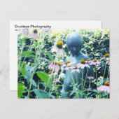 Carte Postale Fille parmi les fleurs (Devant / Derrière)