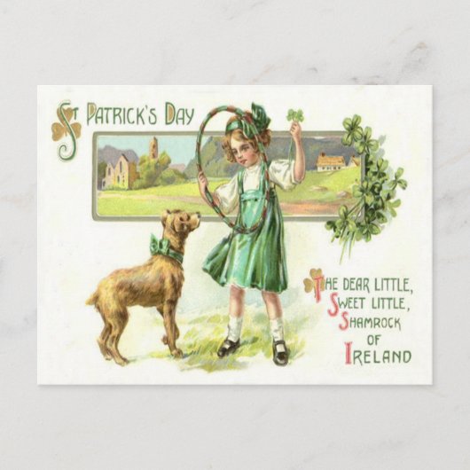 Carte Postale Fille Shamrock quatre feuilles Clover Dog Hoop (Devant)