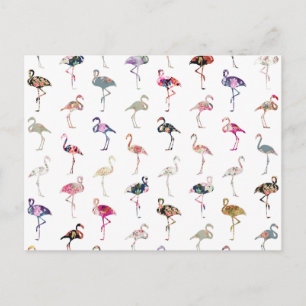 Carte Postale Fille Whimsical Retro Flamants roses Floral Motif