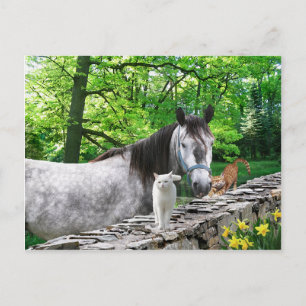 Carte postale "Filles amies"