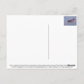 Carte Postale Filles en costume (Dos)