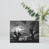 Carte Postale Fils en noir et blanc (Debout devant)