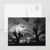 Carte Postale Fils en noir et blanc (Devant / Derrière)