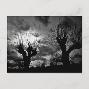 Carte Postale Fils en noir et blanc