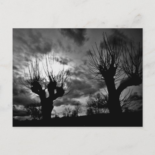 Carte Postale Fils en noir et blanc (Devant)