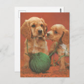 Carte Postale Fils et affection, Cocker Spaniels en jeu (Devant / Derrière)
