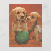 Carte Postale Fils et affection, Cocker Spaniels en jeu (Devant)