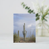 Carte Postale Fin après-midi dans le désert (Debout devant)