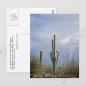 Carte Postale Fin après-midi dans le désert (Devant / Derrière)