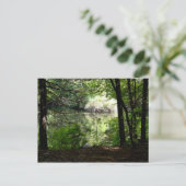 Carte Postale Fin de l'été à Walden Pond (Debout devant)