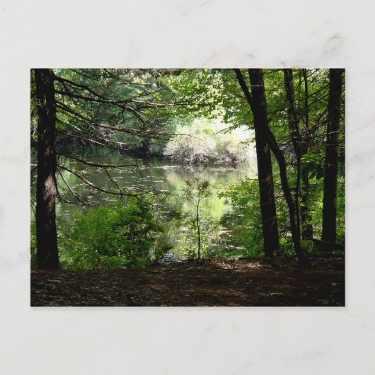 Carte Postale Fin de l'été à Walden Pond (Devant)