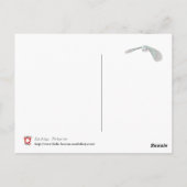 Carte Postale Fin des jours... Le dernier arbre. (Dos)