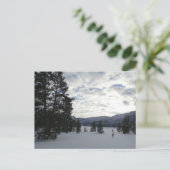 Carte Postale Fin d'une journée de neige dans le parc national d (Debout devant)