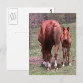 Carte Postale Fin et début (Devant / Derrière)