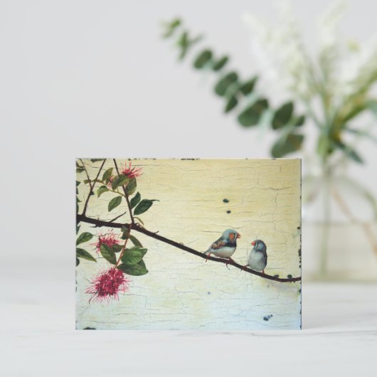 Carte Postale Finch Conversation Postcard (Debout devant)