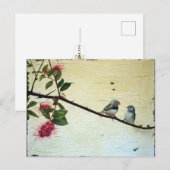Carte Postale Finch Conversation Postcard (Devant / Derrière)