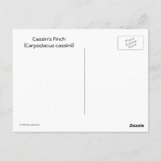 Carte postale Finch de Cassin (Dos)