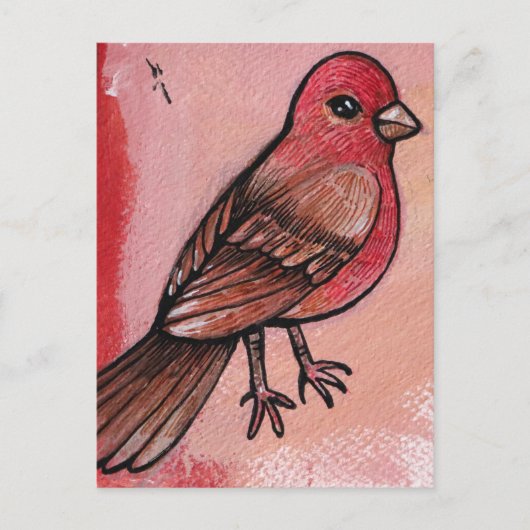 Carte Postale Finch Maison (Devant)