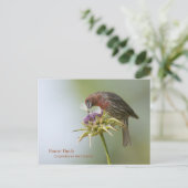 Carte Postale Finch Maison (Debout devant)