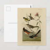 Carte Postale Finch, Towhee, Sparrow, Audubon's Birds of America (Devant / Derrière)