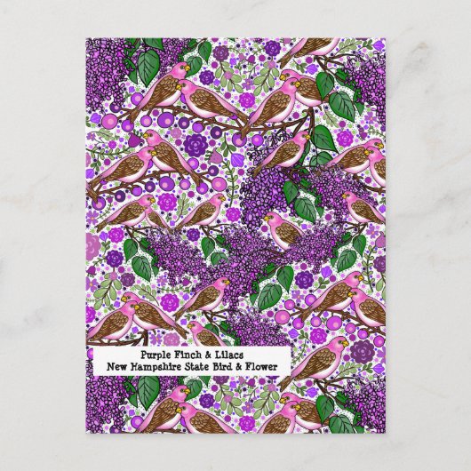 Carte Postale Finches pourpres, Lilacs - NH State Bird and Flowe (Devant)