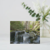 Carte Postale Findlay Falls I (Debout devant)