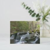 Carte Postale Findlay Falls II (Debout devant)