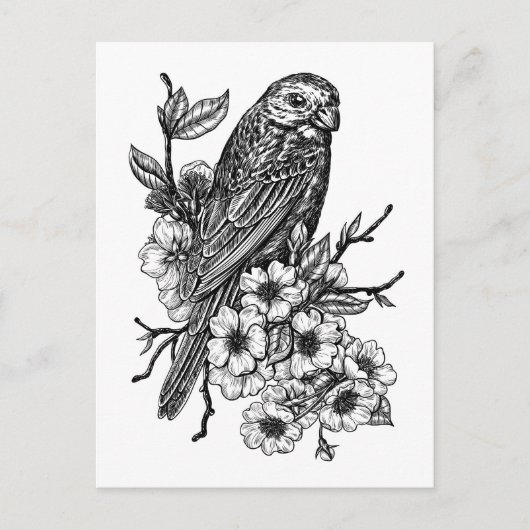 Carte Postale Finition sur branche cerise (Devant)