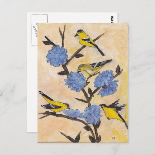 Carte Postale Finitions sur chicorée (Devant / Derrière)