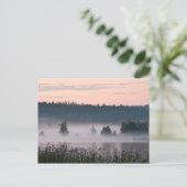 Carte postale Finlande de paysage de lac brumeux (Debout devant)