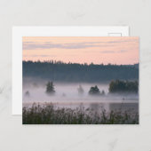 Carte postale Finlande de paysage de lac brumeux (Devant / Derrière)