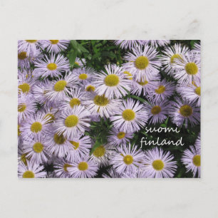 Carte Postale Finlande en Fleurs, 2e d'une série