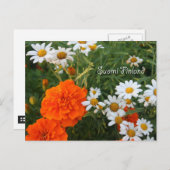 Carte Postale Finlande en Fleurs, 4e d'une série (Devant / Derrière)