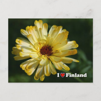 Carte Postale Finlande en Fleurs, 5e d'une série