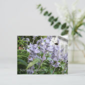 Carte Postale Finlande en Fleurs, 6e d'une série (Debout devant)