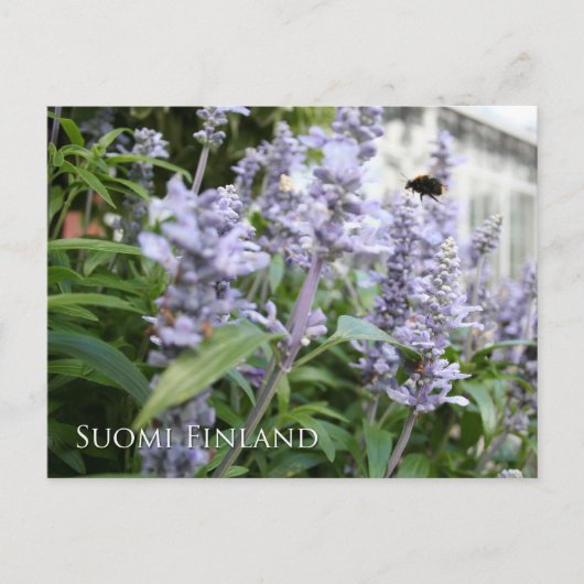 Carte Postale Finlande en Fleurs, 6e d'une série (Devant)