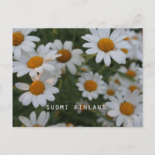 Carte Postale Finlande en Fleurs, 8ème dans une série (Devant)